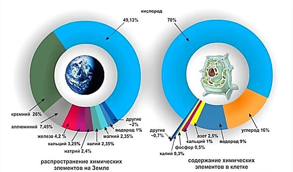 Энергоинформационный обмен. Человек, Земля, Вселенная